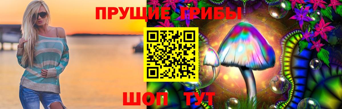 Псилоцибиновые грибы Psilocybe  купить наркотики цена  Гудермес  Псилоцибиновые грибы Psilocybine cubensis  Вход с VPN 