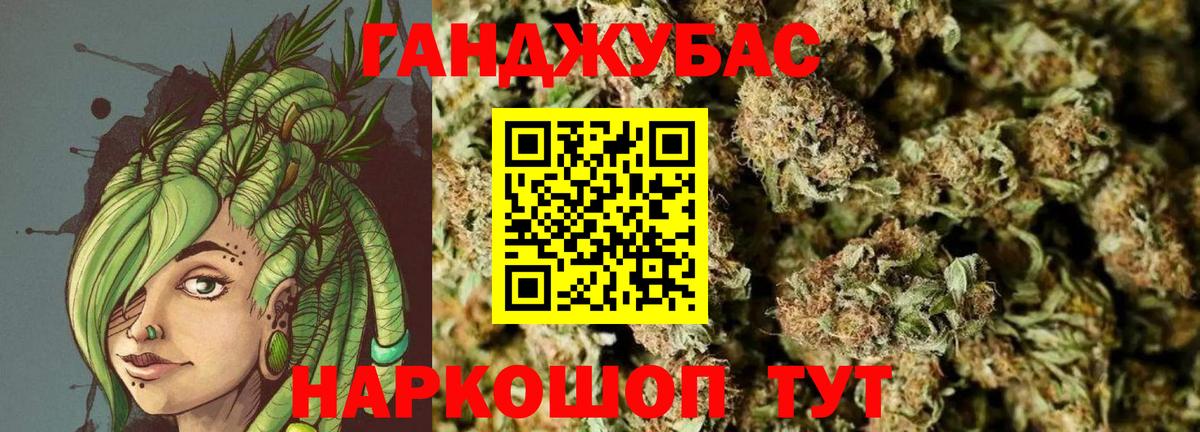 Бошки марихуана сатива Гудермес